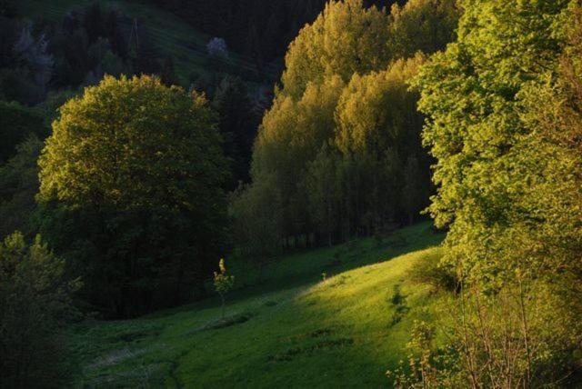 Готель La Ferme Du Bois Barbu Віллар-де-Лан Екстер'єр фото
