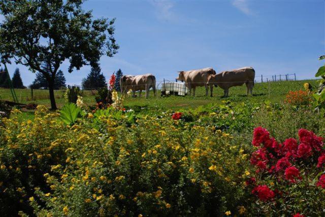 Готель La Ferme Du Bois Barbu Віллар-де-Лан Екстер'єр фото